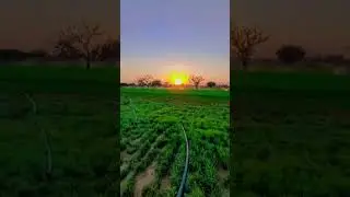 Beauttfull evning punjab view mashaAllah viarl 2024