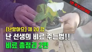 비료는 언제? 어떻게? 어떤비료를?? 완벽하게 정리해드립니다! 비료 총정리 2편 - '난 알아요' 제 20강