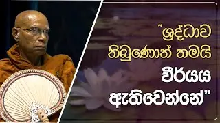 ශ්&zwj;රද්ධාව තිබුණොත් තමයි වීර්යය ඇතිවෙන්නේ | DIdula Arana | EP.217