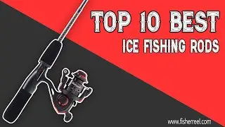 Top 10 Best Ice Fishing Rods | Reviewed by Pros Updated 2022 | Fisherreel