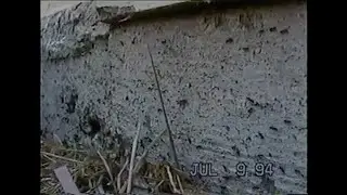VHS Found Footage - July 9 1994 Ants Time-Lapse Analog Aesthetic Stock Footage