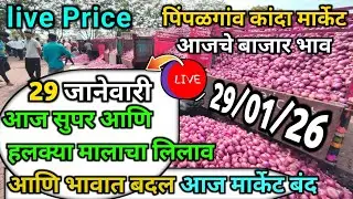 Pimpalgaon Onion Market Price Today:Latest Rates And Insights 29 January 2025