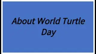 About World Turtle 🐢 Day(23 May)/Few lines on World Turtle Day@mycreativework776