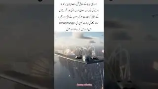 Pakistani airline #viral video #bleesing #islamic love #news #shorts video #aroplan #sky #faith
