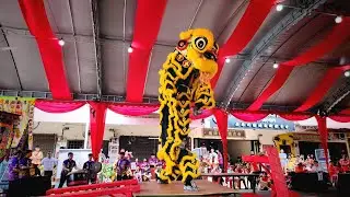 【4K Video】艺鸿杯 / 光艺 *8.76分* / 柔佛光艺龙狮体育会 / 传统南狮 / 比赛纪录片【第三届全柔传统南狮巡回联赛（第2站） / 艺鸿 / 士古来艺鸿龙狮体育会】