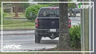 As NC wildlife officials investigate reported taking of wild geese from shopping center, we take a l