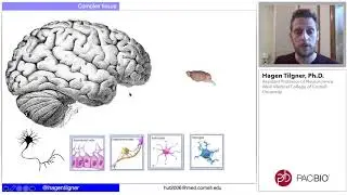 Single-Cell Isoform Analysis of the Nervous System