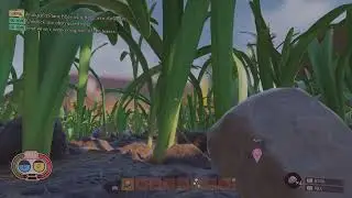 Grounded gameplay