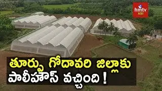 Polyhouse Cultivation in East Godavari Dist | hmtv Agri