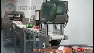 Automatic Cling Film Fresh #fruit  #vegetables #packingmachine  #food  Wrapper Packaging Machine