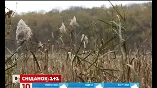 Мой путеводитель. Кировоградщина - мистический Черный лес и Кременчугское водохранилище