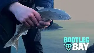 Winter Rock Fishing &ndash; Pollock Caught & One Lost!