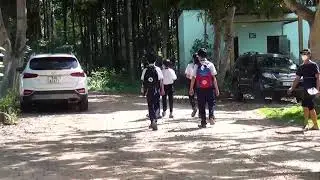 Hoat dong trai nghiem   Nam Cat Tien