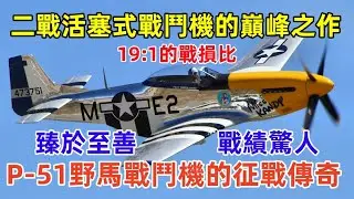 美國P-51野馬戰鬥機的征戰傳奇（軍事研究），二戰活塞式戰鬥機的巔峰之作，臻於至善、縱橫馳騁 、19:1的驚人戰損比，多次擊落德國ME-262噴氣式戰鬥機。P-51 Mustang fighter