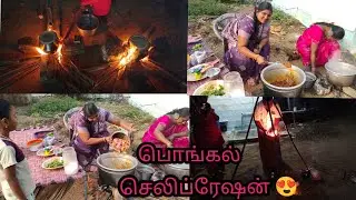 🥹 பொங்கல் செலிப்ரேஷன் இப்படி நினைக்கவே இல்ல #love # viral video# trending video# Pongal festival# 💯💯
