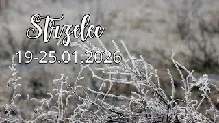Strzelec ♐ 19-25/01/26 🌼 Wszechświat oferuje Ci szansę na zmianę. Spójrz szerzej na tę sytuację 🌍