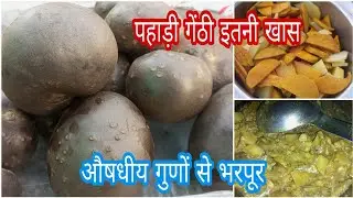 पहाड़ी गेंठी की सब्जी || गेंठी औषधीय गुणों से भरपूर || Pahadi Gethi ki Sabji ||Suresh Uttrakhandi