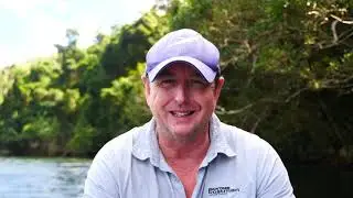Daintree River -  An Everyday Love