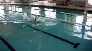 Elaine's Backstroke Bucket Turn- Left 4-8-13
