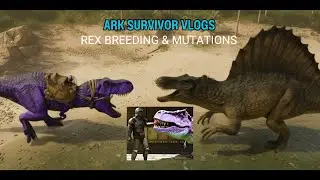 Rex Breeding & Mutations Vlog Update
