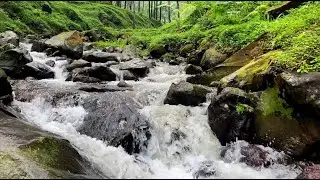 Powerful Mountain River Sounds for Intense Focus, Study, and Blocking Noisy Distractions
