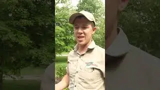 The First Rule of Hardscaping