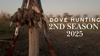 Dove Hunting 2nd Split Season 2025
