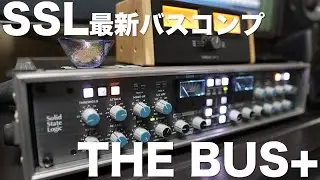 【SSL THE BUS+】在庫ぎれ続出！SSL最新バスコンプTHE BUS+で何ができるの？【レビュー】