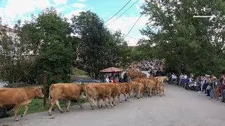 Abiada - Fiesta de los campanos 2019 - Campoo de Suso -Cantabria