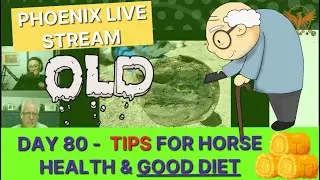 Day 80 - Tips for HORSE HEALTH & Good DIET 🍏(Caring for the ELDER HORSES)❗️