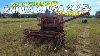 ☆Pierwsi We Wsi!?☆Żniwa Owsa 2025!☆Bizon Super Z056 W Akcji!?☆Ursus C-360!☆Dźwięk Silnika!☆