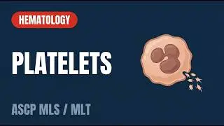ASCP | MLS | MLT | Hematology | Platelet Production, Structure, and Function