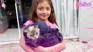 BANHO DE GATO