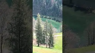 Изумрудные красоты Верхней Франконии❤️