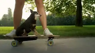 BrizzyMedia  - Friyay Digital website video