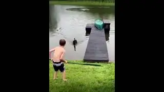 Pato persiguiendo personas/Duck chasing people. LOL #short