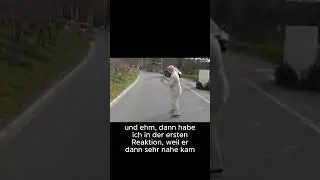 Fuchs vs alter Mann D:  #gervtuber #vtuber #meme