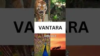 Anant Ambani initiative to save rare species    #animalrescue  #vantara #anantdadadt #anantambanidt
