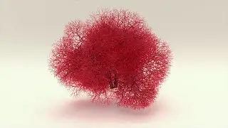 Vascular branching