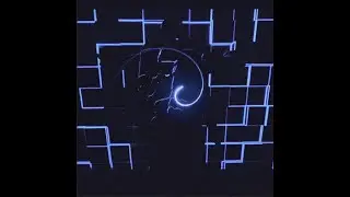Perennial Spiral - Immunity (extended)