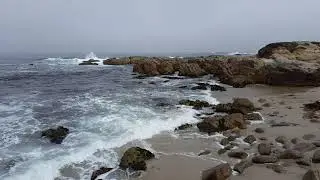 Moment Of Zen -- Asilomar