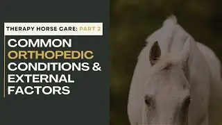Therapy Horses: Common Orthopedic Conditions & External Factors - Part 2