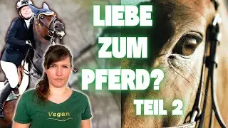 REAKTION TEIL 2: Pferde - Geliebt oder Gequält?