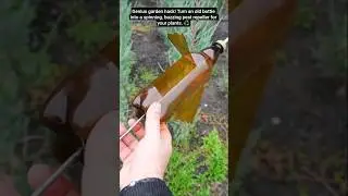 DIY Wind Garden Pest Repeller