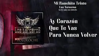 Los Terceros - Mi Ranchito Triste