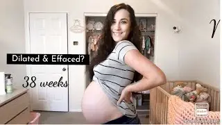 Dilation & Effacement, 38 Week Pregnancy Update! | The Blackwells