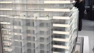 Toronto Real Estate - The Carlaw Scale Model Tour with Spring Realty