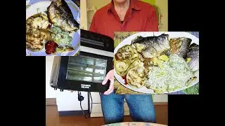 Functional check  Air Fryer Oven COISINIR DELUXE   AF510T.  We make Fish in the Oven