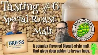 2025 BrewTubers Malt Experiment Tasting #6 - Briess Special Roast Malt