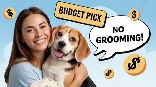 12 Budget Friendly Dogs That Are Shockingly Low Maintenance